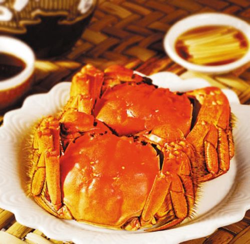 老版本皮皮蟹,快速方案执行指南 高级款_v6.359