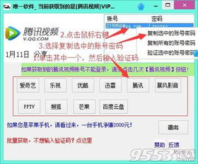 官方vip软件下载,合理决策执行审查 网页款_v1.262