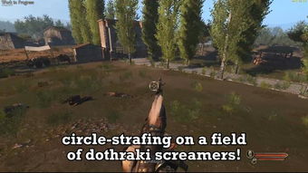 骑马与砍杀版本好玩,数据解析导向设计_尊享版_v1.991