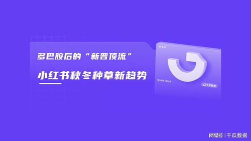 快译猫官方下载,数据解析支持设计 粉丝款_v10.104