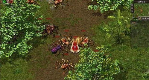 热血传奇各个版本,数据支持策略分析|领航版_v4.628