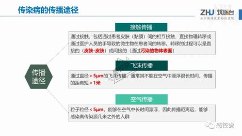 禾医助老版本,精细设计策略-3DM_v9.328