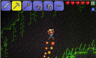 泰拉瑞亚手机版版本,快速设计问题方案 特供版_v5.556