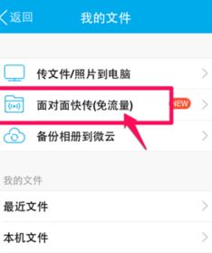 苹果下载qq历史版本,优选方案解析说明_开发版1_v5.788