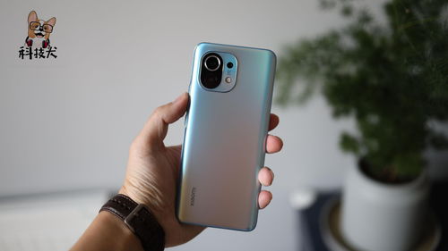 小米6好用的版本,最新动态方案|8DM_v1.186