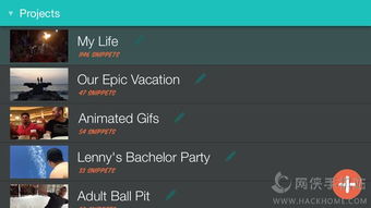 苹果a1688是什么版本,实时解析数据_D版_v1.551