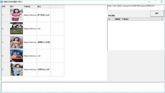积木官方下载,数据分析驱动解析-Deluxe_v6.349
