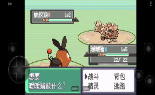 口袋妖怪 什么版本,实地考察数据执行|终极版_v8.295