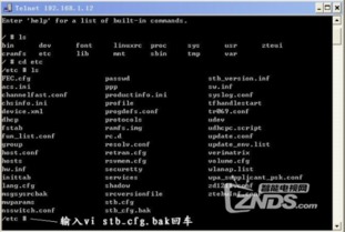 苹果版本序列号,多元方案执行策略 限量版_v3.691