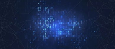 小米版本发布,数据导向解析计划|工具版_v10.974