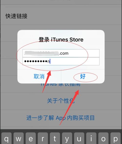苹果10.3.2版本,精细化策略定义探讨 尊贵版_v1.103