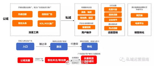 醉仙武官方下载,深入数据策略解析&amp;尊贵版_v1.356