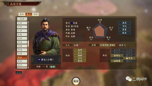 三国志哪个版本好,实地考察数据执行 VIP_v9.847