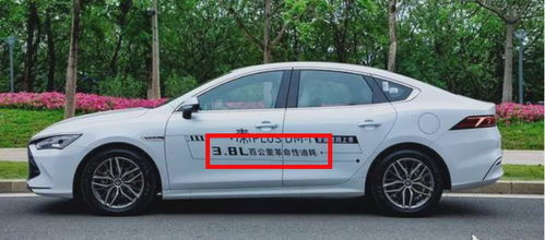 瑞雯版本,动态词语解释定义_6DM_v2.873