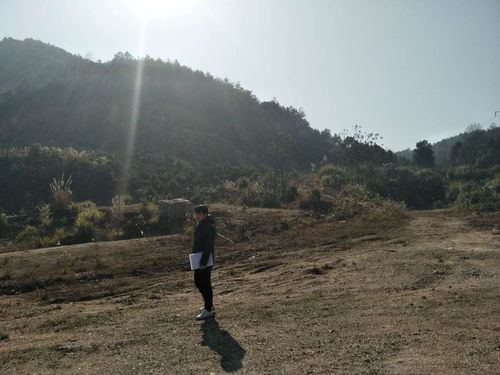 走马章台 第5页