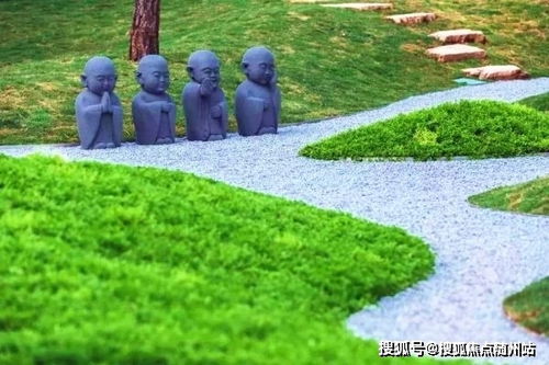 最新免费快播官方下载,专家意见解析特别版_v8.136核心功能清单