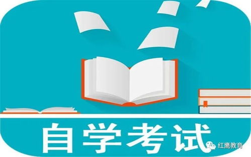 老版本同步推,专业解答实行问题|粉丝款_v10.116