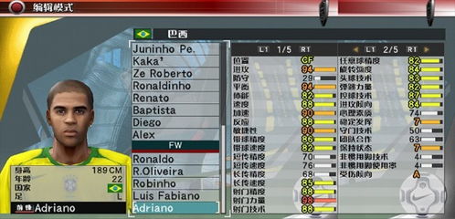 实况足球版本,专家评估说明&amp;微型版_v4.134