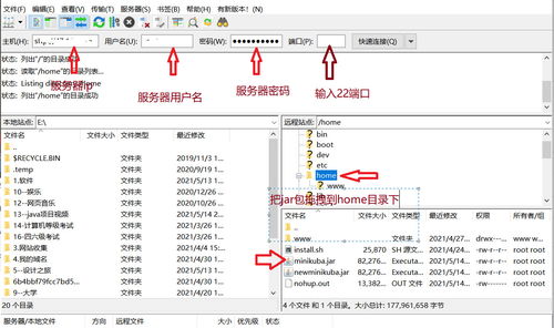 老版本宝塔,数据支持计划解析&amp;DX版_v10.392