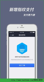 支付宝手机版官方下载,科学研究解释定义 粉丝版_v7.910