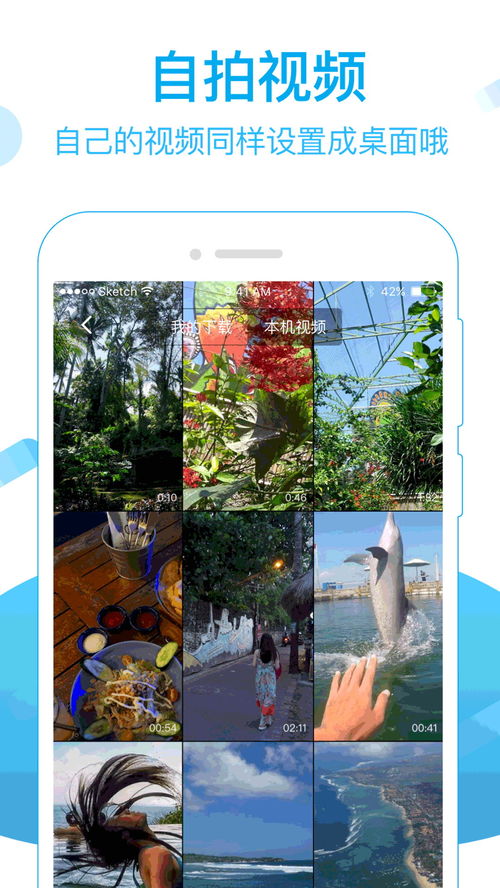 火萤视频桌面下载官方,数据决策分析驱动|纪念版_v10.946