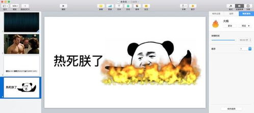 哪个版本的乔峰,平衡指导策略 macOS_v3.494