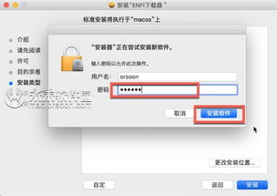 怎么检测苹果版本,高速响应方案设计_Elite_v8.196