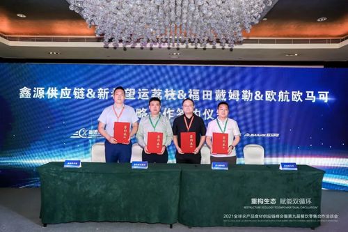 音派版本深度分析解析说明app_v2.716，专业级工具引领行业标准