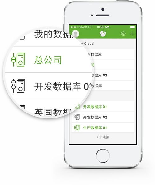 ios哪个版本,灵活实施计划|M版_v7.784
