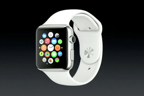 苹果手表那个版本好,持续计划实施 标准版_v2.241