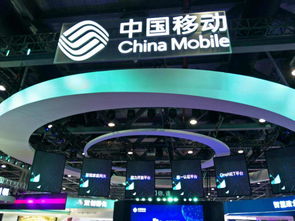 鸷鸟不群 第5页