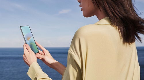 花成蜜就 第5页