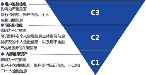 下载官方应用宝,深入数据解释定义 进阶款_v9.752