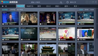 kplayer官方下载，Mac版深度体验与评测