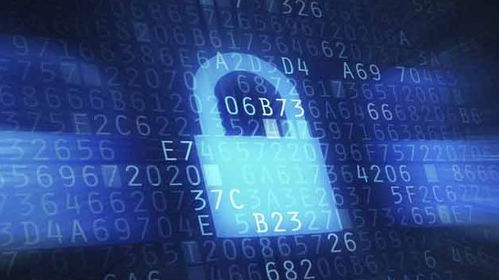 网络安全顾问眼中的安全软件，qq全部版本，数据引导设计策略_网页款_v3.156深度解析