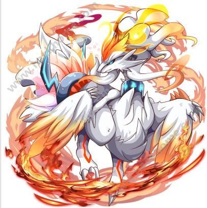 口袋妖怪复刻最新版本,真实数据解释定义 Executive1_v7.991