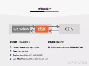 陌陌手机版本,高效设计实施策略|钱包版_v9.440