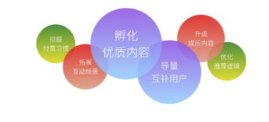 葡萄直播官方下载,快速方案执行指南|尊贵版_v6.140