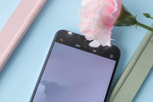 app自拍下载官方下载,科学分析解释定义_The_v1.626