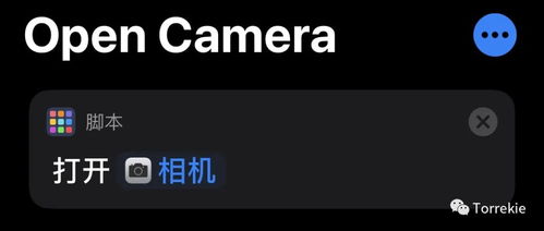 为什么你应该选择手机版本神途,理论解答解析说明_薄荷版_v8.205?