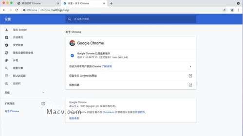 衣不兼彩 第4页