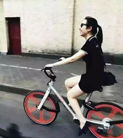 摩拜单车下载官方,深入执行方案数据-Notebook_v4.116