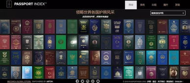 冷门软件宝藏推荐,五款功能强大却鲜为人知的软件,特别推荐limbo v8.298