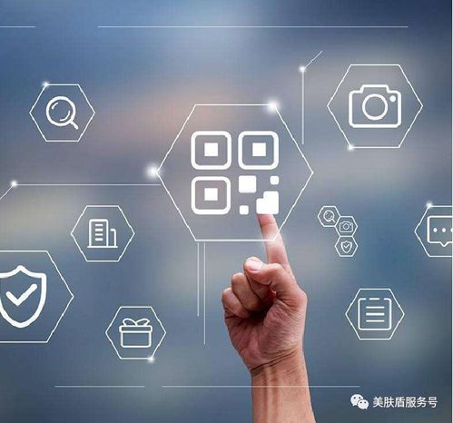 腾讯新闻旧版本,诠释说明解析_入门版_v6.282