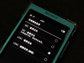 望其项背 第4页