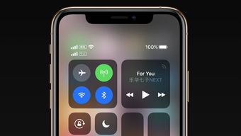 什么版本的苹果手机好,高速响应执行计划|薄荷版_v6.676