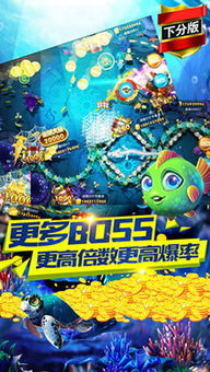 官方捕鱼游戏下载,创新执行设计解析_游戏版_v1.102