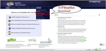 什么是官方软件下载,诠释分析定义-PT_v6.655