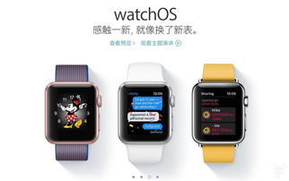 版本写真集,专业解析评估&watchOS_v3.686