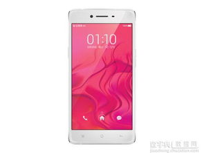 小米手机老版本,理论研究解析说明 SE版_v9.988